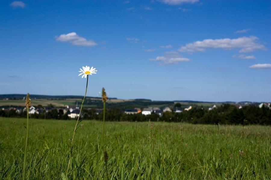 Studiohaus Haus Roswitha Geisfeld  Экстерьер фото